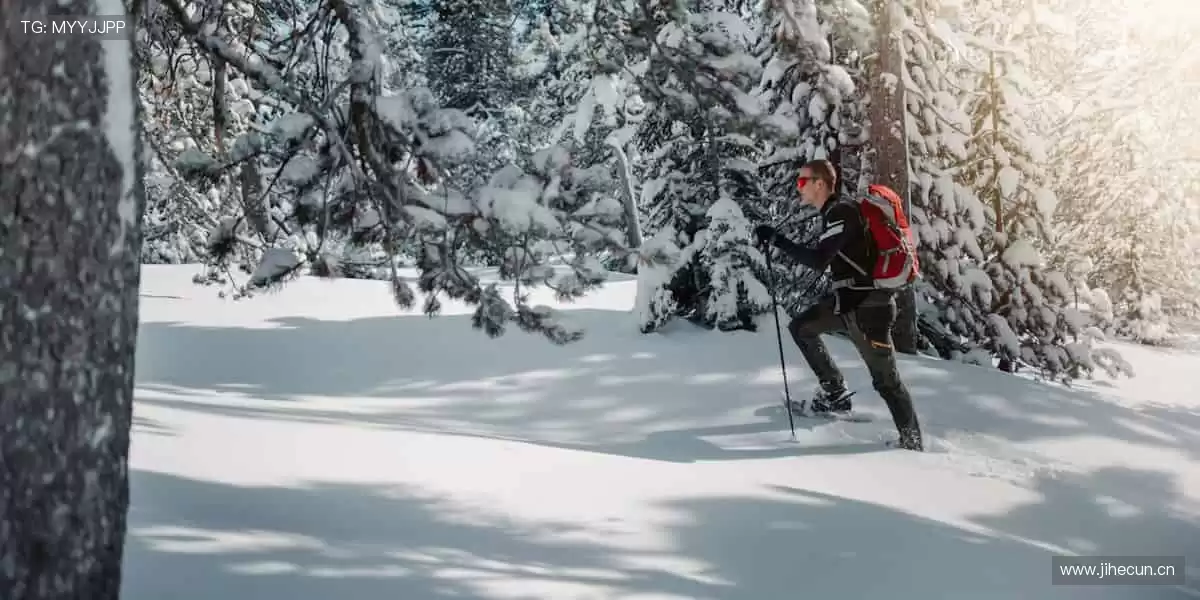 🏋️♂️ 热爱不止,装备升级!💪